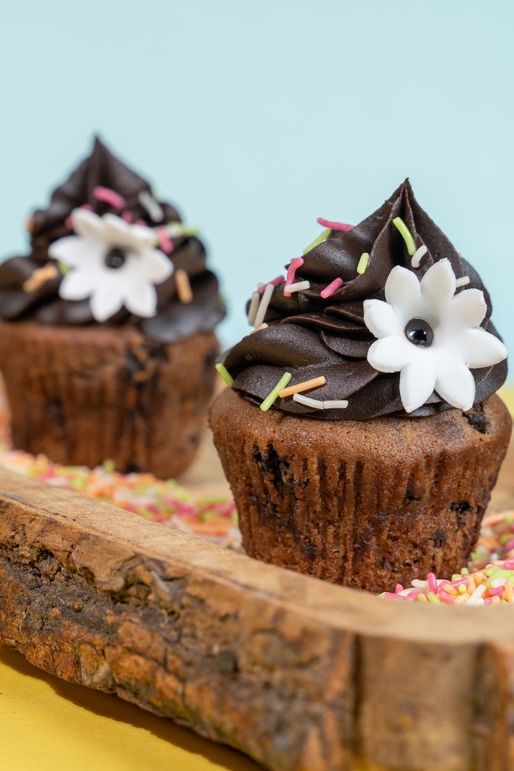 Cupcake Recipe - Cupcakes With Chocolate Frosting and Sprinkles